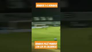 GOL DE VENADOS VENADOS FC 10 DORADOS DE SINALOA shorts [upl. by Snowman]