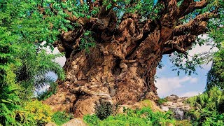 Animal Kingdom  Tree of Life  BGM Loop [upl. by Adnilg]