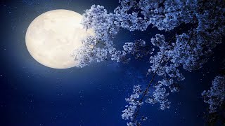 Relaxing Sleep Music Harp Music Sleeping Fall Asleep Beat Insomnia Soft Calm Soothing ★59 [upl. by Nelrah88]