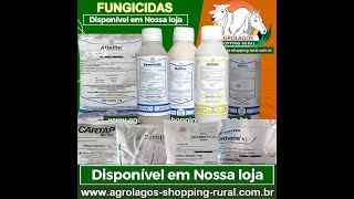 MELHORES FUNGICIDAS PARA SUA LAVOURA PLANTAÇÃO [upl. by Legnaros]