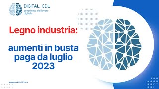 Rinnovo ccnl Legno industria aumenti in busta paga da luglio 2023 e una tantum [upl. by Nivle]