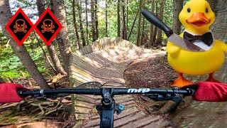 I Shouldnt Be On This Trail  Rubber Ducky amp Aggravated Assault  Fernie Bike Park [upl. by Ynoep720]