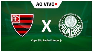 OESTE X PALMEIRAS  AO VIVO  COPA SP 2024  COPINHA 2024 [upl. by Beaufort764]