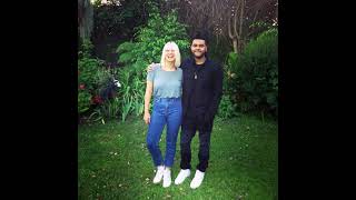 Sia Feat The Weeknd  Elastic Heart Stems ReworkHidden Vocals [upl. by Naesyar]