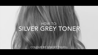 How to get a Perfect Silver Grey Toner using Fanola [upl. by Saberhagen835]