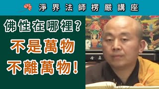 佛性在哪裡？ 不是萬物 不離萬物！  淨界法師《楞嚴經》講座 [upl. by Ashti272]