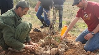 Consejos para plantar árboles en zonas áridas [upl. by Rimhsak373]