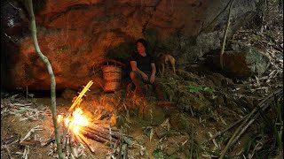 Overnight Cave Shelter Wild Food Catch and Cook Survival Alone  EP313 [upl. by Sue831]