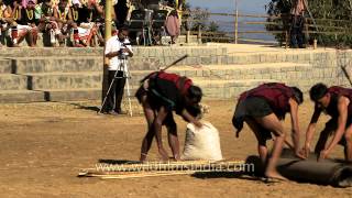 Millet harvesting showcased by Yimchunger tribe [upl. by Cilurzo]