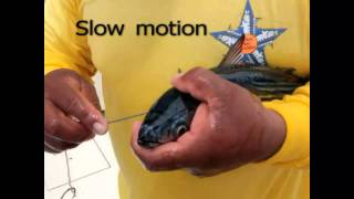 How to bridle large baits IGFA School of Sportfishing [upl. by Olympium843]