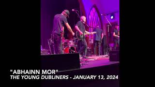 quotAbhainn Morquot live  The Young Dubliners [upl. by Aube866]