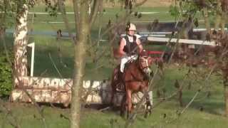 Die Haflinger springen in Gunzenhausen [upl. by Krueger]