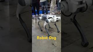 Anjing Robot Melompat amp Mengguling [upl. by Bixby809]