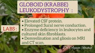 Globoid Cell Leukodystrophy  Krabbe Disease Cause Onset Symptoms Diagnosis amp Treatment [upl. by Eerihs]