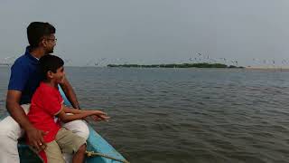 A day trip to pulicat lake chennai pulicatlake viyannilan [upl. by Remo]