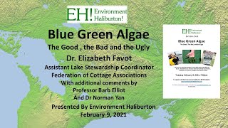 Blue Green Algae The Good The Bad and The Ugly [upl. by Auqkinahs]