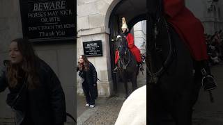 Lady settling photographer while Royal Guard horse photography shorts [upl. by Clarette3]