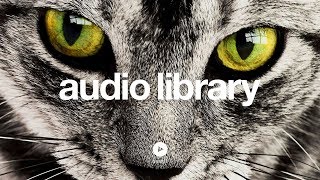 Up In My Jam All Of A Sudden – Kubbi No Copyright Music [upl. by Antonino]