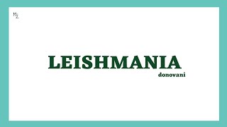 What is Leishmaniasis and Leishmania  Leishmania donovani  Life Cycle Treatment  MEDZUKHRUF [upl. by Greenleaf356]