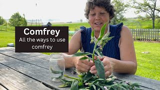 Comfrey How we use this controversial herb on the homestead [upl. by Ianahs]