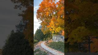 Autumn at Cranbrook House amp Gardens nature relaxing visitmichigan exploremichigan autumn [upl. by Sunil911]