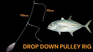 Drop down pulley rig  How to make fishing rigs [upl. by Odnuges]