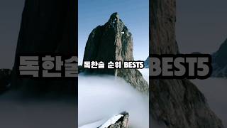 독한술 순위 BEST5 [upl. by Anissej]