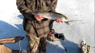 Winchester Lake Ice Fishing [upl. by Esiuole]