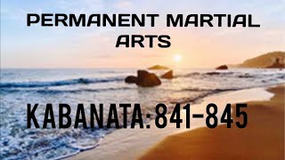 KABANATA 841845PERMANENT MARTIAL ARTS [upl. by Wrand]