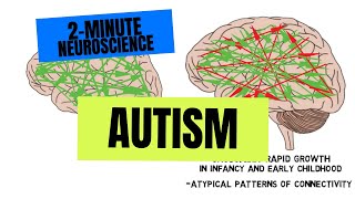 2Minute Neuroscience Autism [upl. by Aysab]