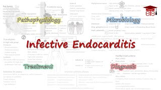 Infective Endocarditis  Pathophysiology Microbiology Clinical Features Diagnosis and Treatment [upl. by Ilime607]