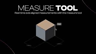 Precision in Plasticity  Dimension and Measure [upl. by Nennerb]