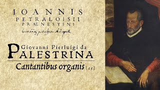 Giovanni Pierluigi da Palestrina ❧ Cantantibus organis a 5 [upl. by Fagaly]