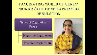 Prokaryotic Gene Expression RegulationTypes of RegulationNegative RegulationPositive Regulation [upl. by Mutz]