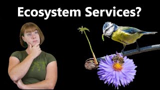 What Are Ecosystem Services [upl. by Varin]