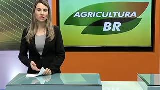 Preço da saca da soja de 60 kg chega a R 8900 em Paranaguá [upl. by Gnot]