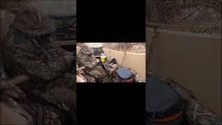 Gale force Winds arkansas duckhunting pitblind mallard midwest crazy [upl. by Adele474]