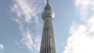 The EarthquakeProof Tower in Japan  Secret Revealed [upl. by Sices]