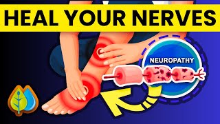 Top 9 Nutrients To Heal Nerve Damage [upl. by Gladys]