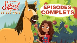 Spirit et ses amis  Épisodes complets  Courtmétrages en exclusivité [upl. by Lapides]