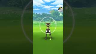 Zygarde Is Here 🤩 pokemongo [upl. by Map]