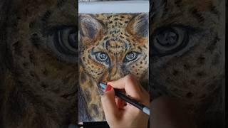 Leopard 🐆 drawing in progress part 5draws leopard leoparddrawing colorpencildrawing [upl. by Donal523]