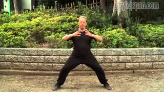 3 Treasures QiGong amp basic warm ups [upl. by Ahsinhoj882]