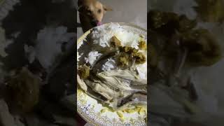 Nice food for my dog today food dogfood doglover [upl. by Supat412]