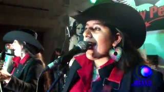 LOS HALCONES NEGROS  MIX LA DIOSA  SOLA CON MI SOLEDAD  Y VOY A SER FELIZ  VIDEO OFICIAL En Vivo [upl. by Asecnarf]