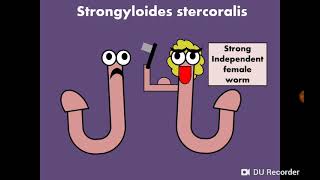 Strongyloides stercoralis داء الأسطوانيات [upl. by Elspeth]