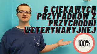 PRAWDZIWE PRZYPADKI Z PRZYCHODNI WETERYNARYJNEJ  100 REALNE [upl. by Darach377]