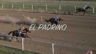 EL PADRINO  GRUPO LABERINTO [upl. by Akemhs]