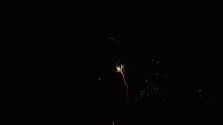 King Cobra 25 Shot Firework Barrage epicfireworks [upl. by Ahsitneuq]