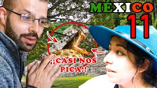 😱🐍SALVAJE descubrimiento de EUROPEO y mexicana en PALENQUEChiapas México  Extranjeros en México [upl. by Evelc789]